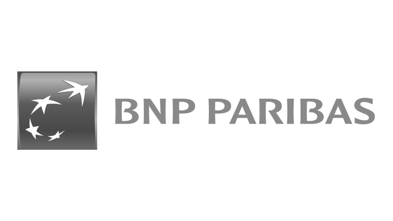BNP Severn Consultancy
