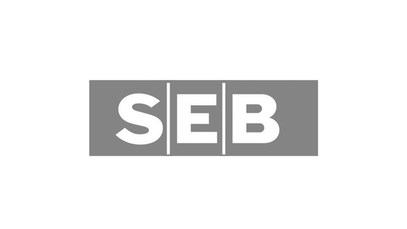 SEB 1 Severn Consultancy